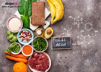 Mixfolic ile Folik Asit ve Hücre Gelişimine Destek | Doğamix