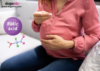 Folik Asit Nedir? Kimler Kullanmalı? | Doğamix