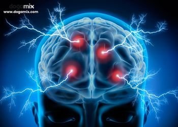 Citikolin-P ile Yetişkinlerde Hafıza ve Odaklanma Desteği | Doğamix